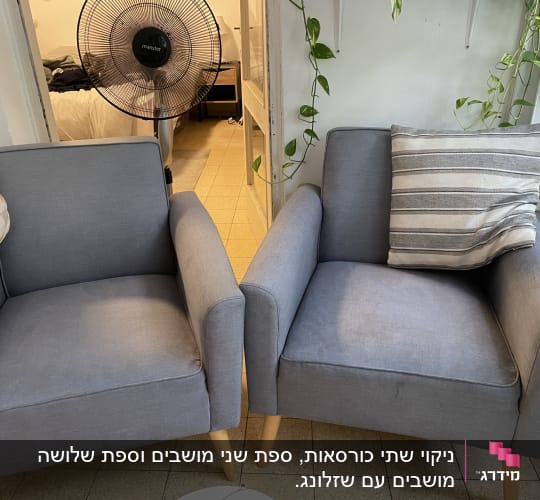 שני כורסאות אפורות עם כריות, צמח מטפס ליד החלון